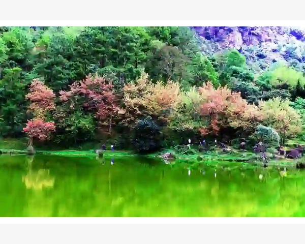 儿童吃什么对孩子脾胃好
