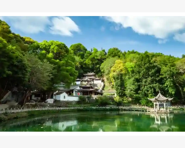 补气补血泡茶饮用，体味中医养生之道